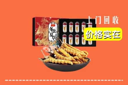 龙岩市回收冬虫夏草